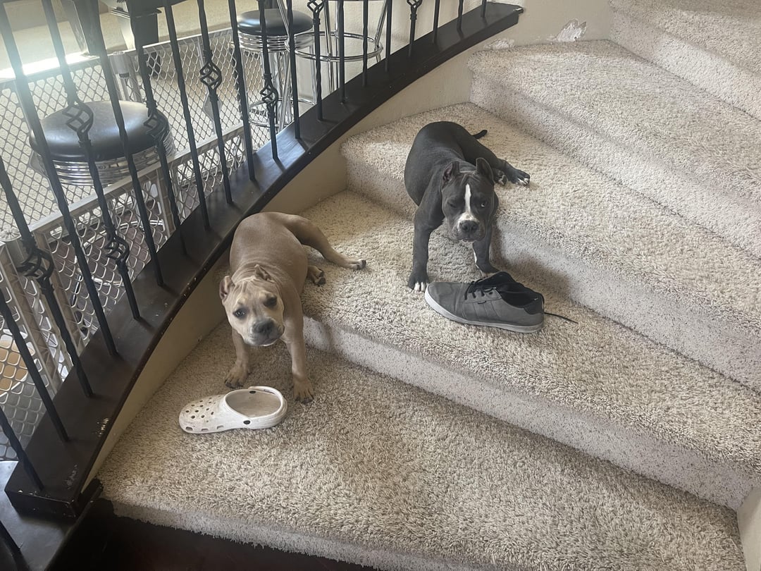 One shoe each