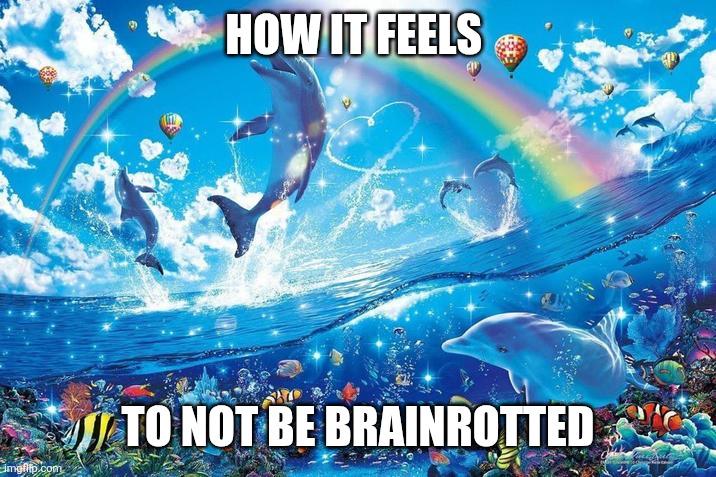 HOW IT FEELS imgflip.com TO NOT BE BRAINROTTED