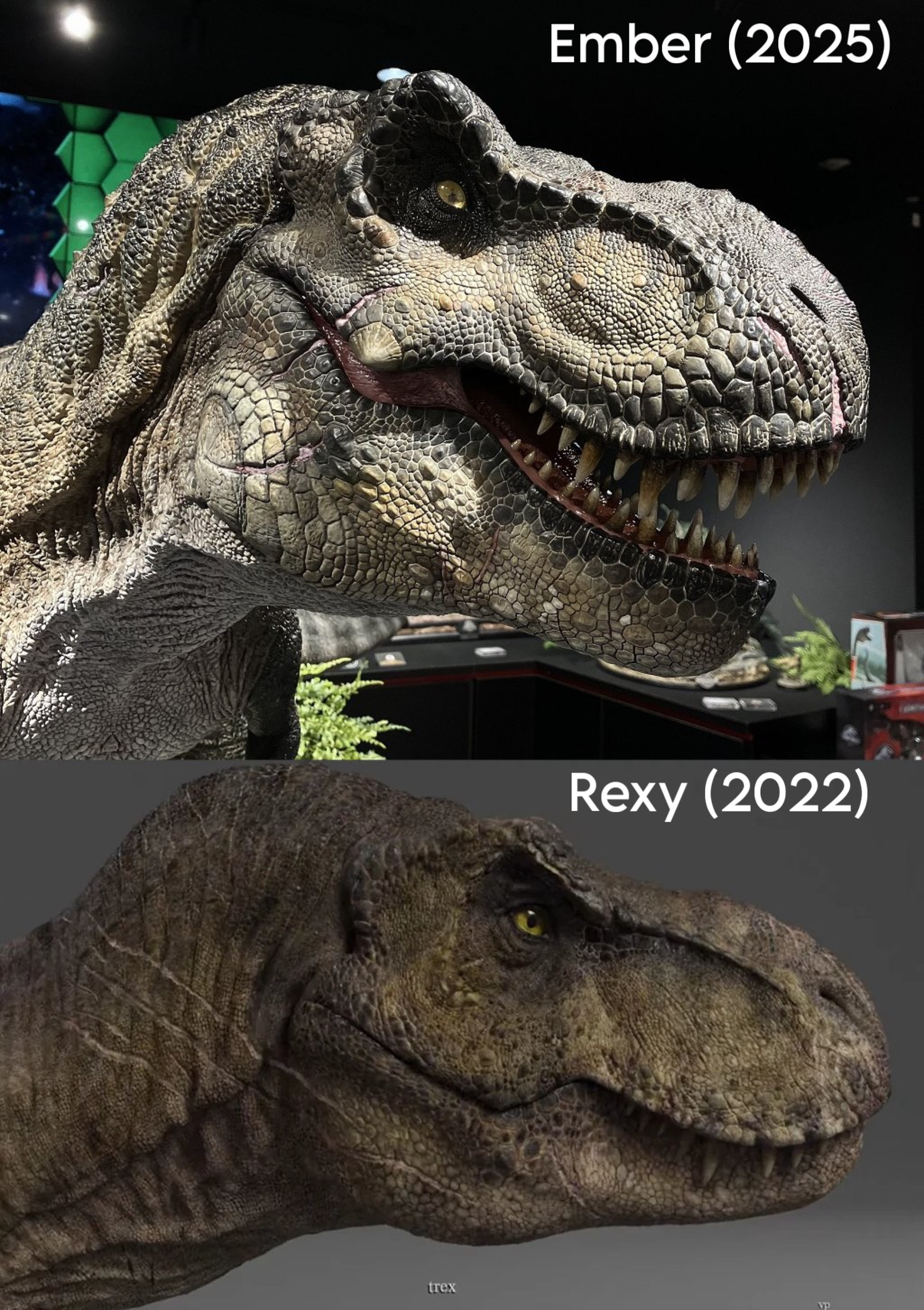 Ember (2025) Rexy (2022) trex VP