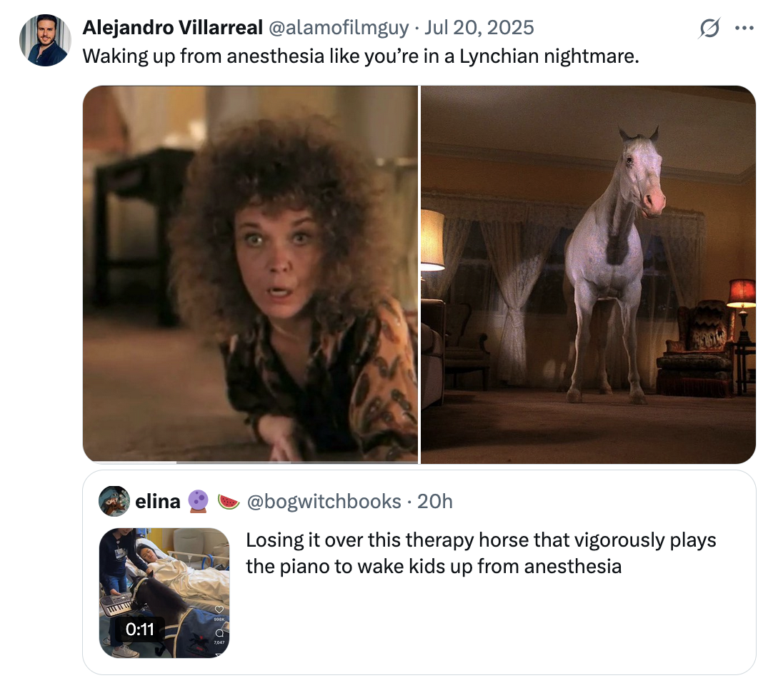 X user @alamofilmguy quoted the post of a mini therapy horse playing the piano for a hospitalized child, writing, "Waking up from anesthesia like you’re in a Lynchian nightmare." The post gathered over 1,300 likes in a day.