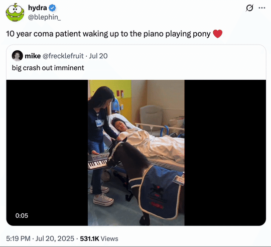 X user @blephin_ quoted a sped-up version of the Mini Therapy Horse video, writing, "10 year coma patient waking up to the piano playing pony ❤️" and gathering over 10,000 likes in a day.