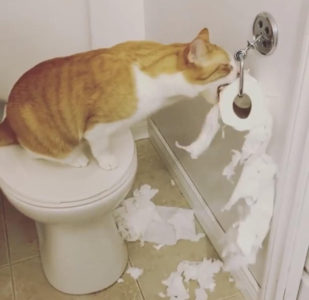 Why?