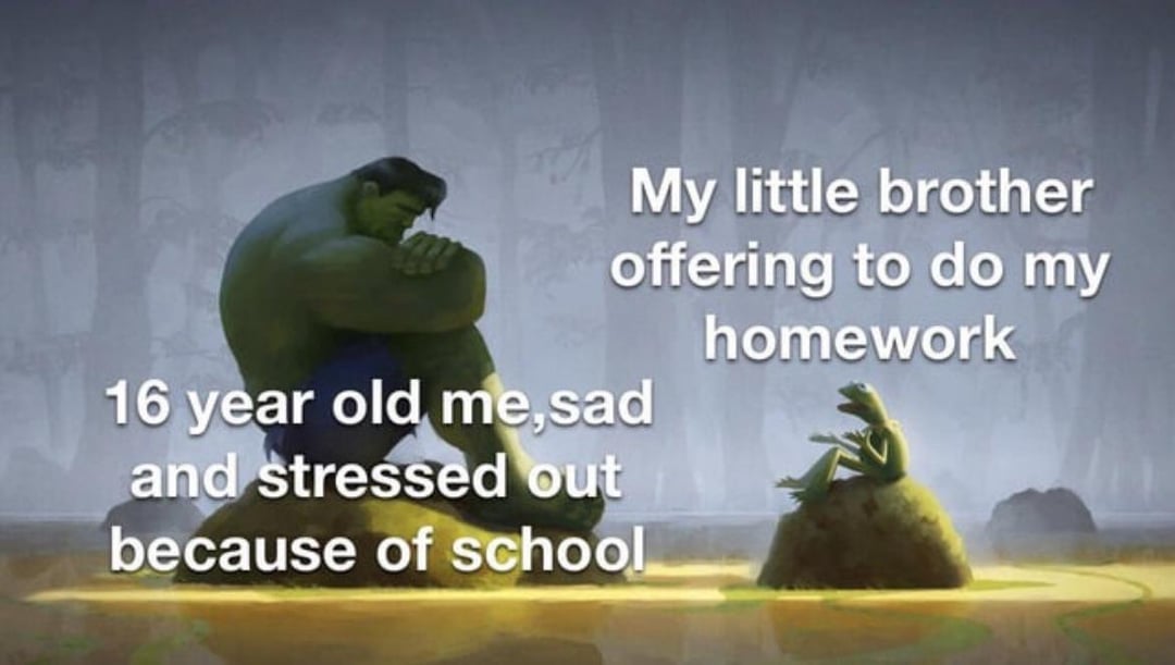 My little brother offering to do my homework 16 year old me,sad and stressed out because of school