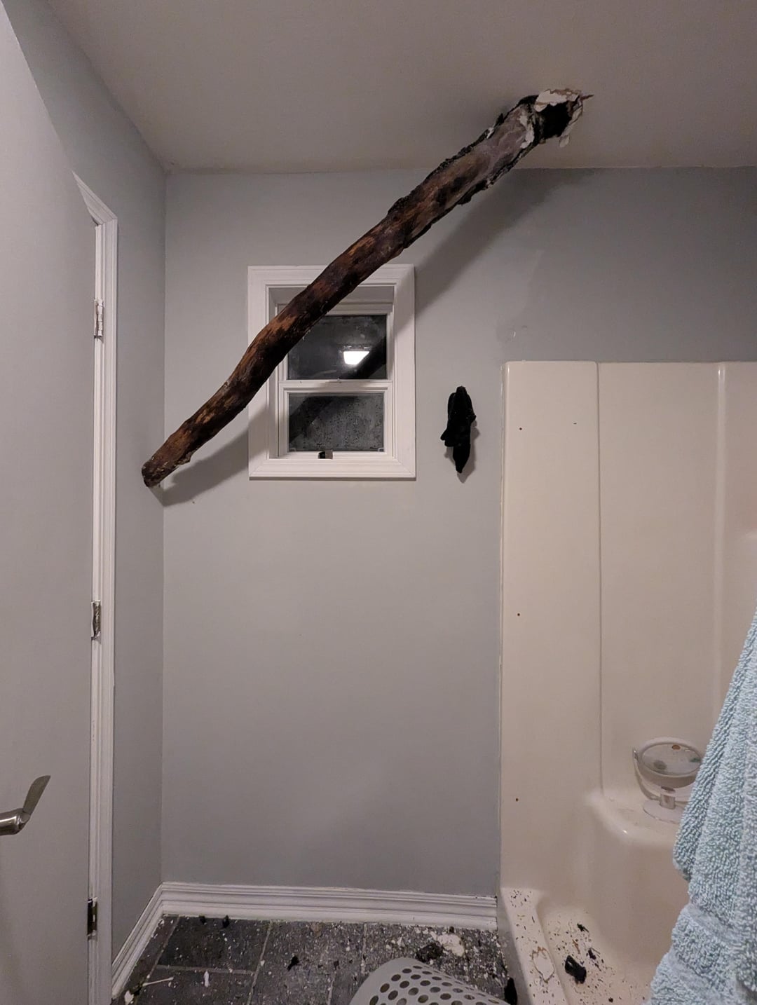 A tree limb pierced the house