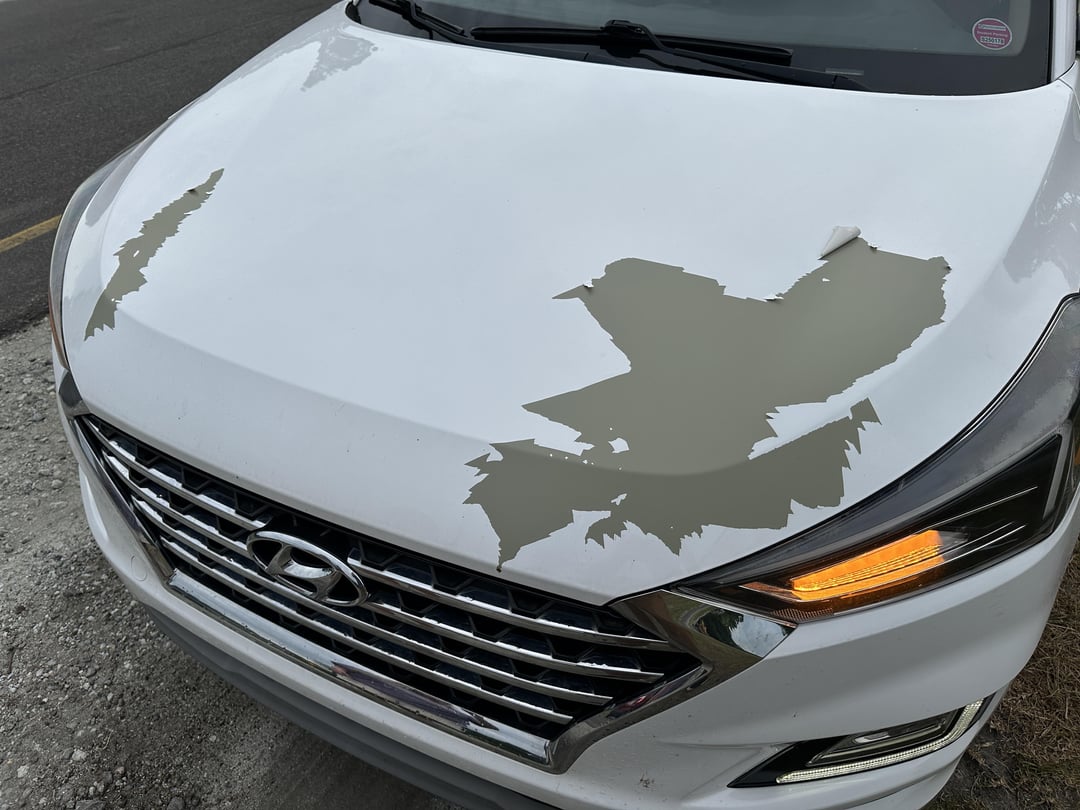 Rain ruined the paint