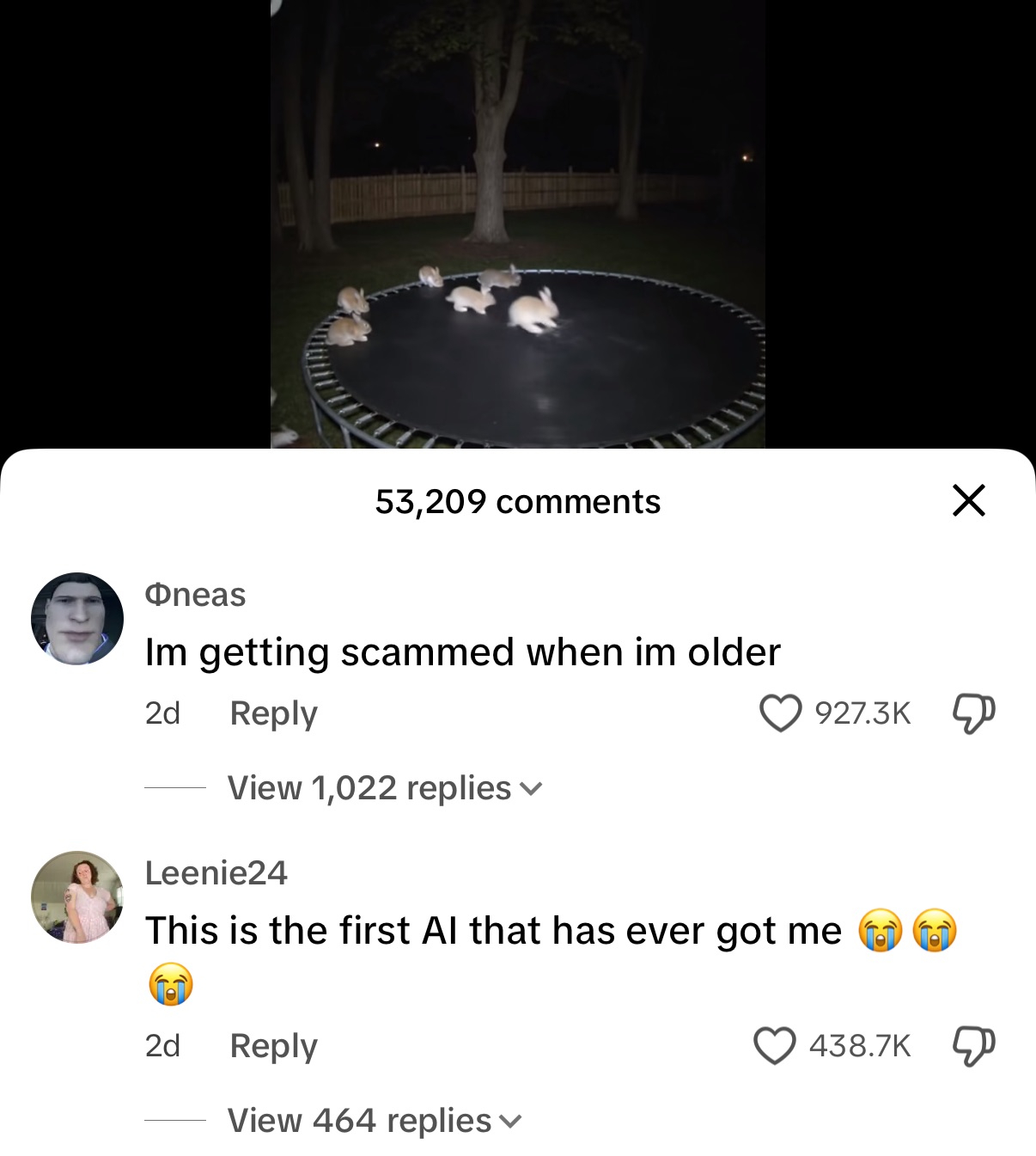 "TikTok":https://knowyourmeme.com/memes/sites/tiktok comments left on the "AI Video":https://knowyourmeme.com/memes/cultures/ai-video of bunnies jumping on a trampoline.