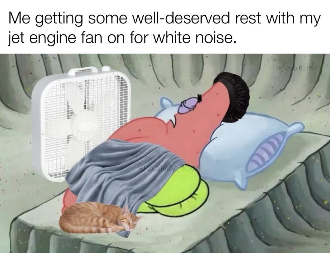 Me getting some well-deserved rest with my jet engine fan on for white noise. w/evan-lolz