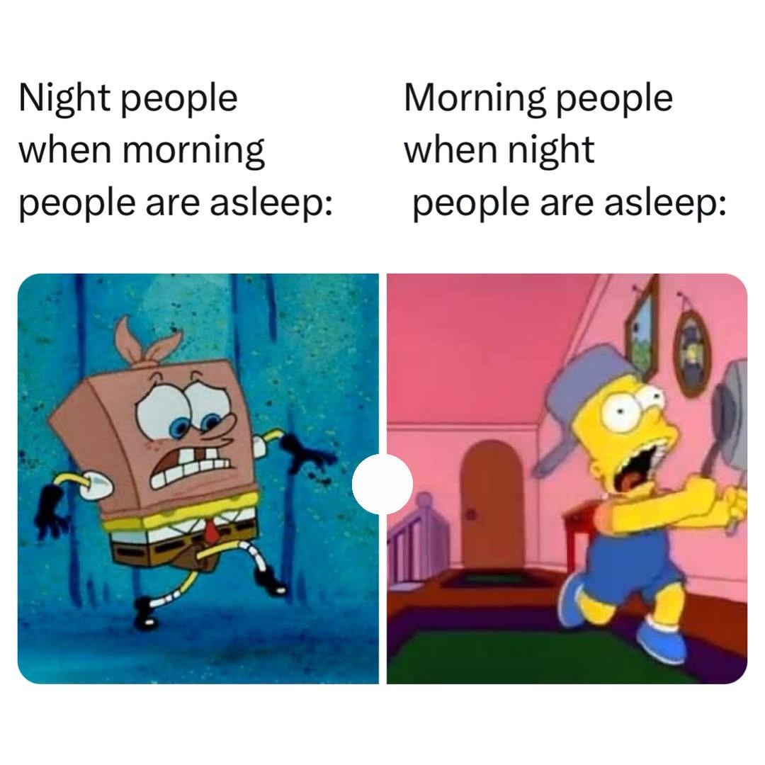 Night people when morning people are asleep: Morning people when night people are asleep: