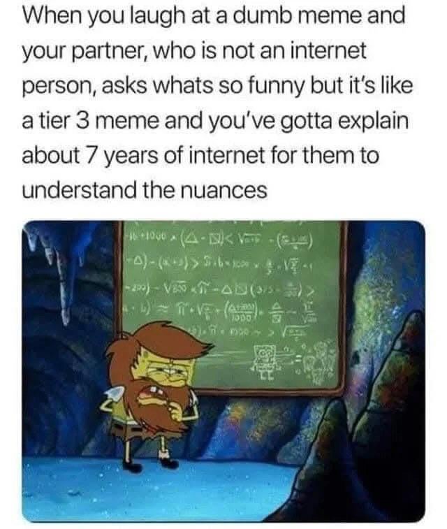 When you laugh at a dumb meme and your partner, who is not an internet person, asks whats so funny but it's like a tier 3 meme and you've gotta explain about 7 years of internet for them to understand the nuances 0)-(+) V -2)-VT-AD()> 3000