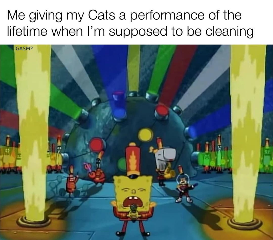 Me giving my Cats a performance of the lifetime when I'm supposed to be cleaning GASM? 93