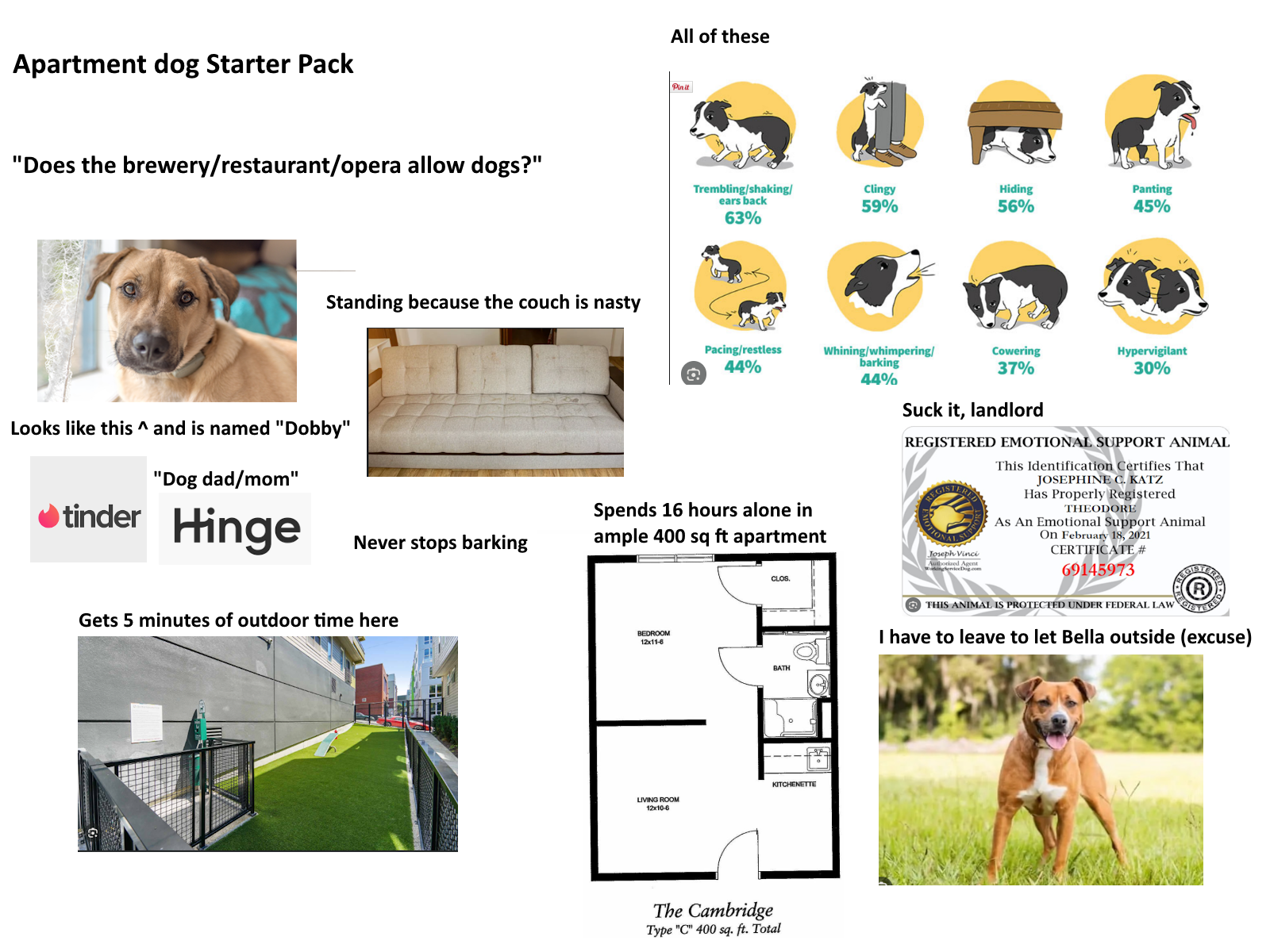 Apartment dog Starter Pack "Does the brewery/restaurant/opera allow dogs?" Standing because the couch is nasty Looks like this ^ and is named "Dobby" "Dog dad/mom" All of these Pinit Trembling/shaking/ ears back Clingy 59% Hiding 56% Panting 45% 63% Pacing/restless 44% Whining/whimpering/ barking 44% tinder Hinge Spends 16 hours alone in ample 400 sq ft apartment Never stops barking Gets 5 minutes of outdoor time here BEDROOM 12x11-6 CLOS. BATH о KITCHENETTE LIVING ROOM 12x10-6 The Cambridge Type "C" 400 sq. ft. Total Cowering 37% Hypervigilant 30% Suck it, landlord REGISTERED EMOTIONAL SUPPORT ANIMAL Joseph Vinci Authorized Agent okingServiceDog.com This Identification Certifies That JOSEPHINE C. KATZ Has Properly Registered THEODORE As An Emotional Support Animal On February 18, 2021 CERTIFICATE # 69145973 THIS ANIMAL IS PROTECTED UNDER FEDERAL LAW I have to leave to let Bella outside (excuse)