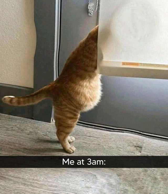 Me at 3am: