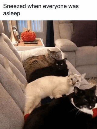 Sneezed when everyone was asleep
