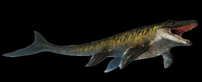 Jurassic world rebirth Mosasaurus 