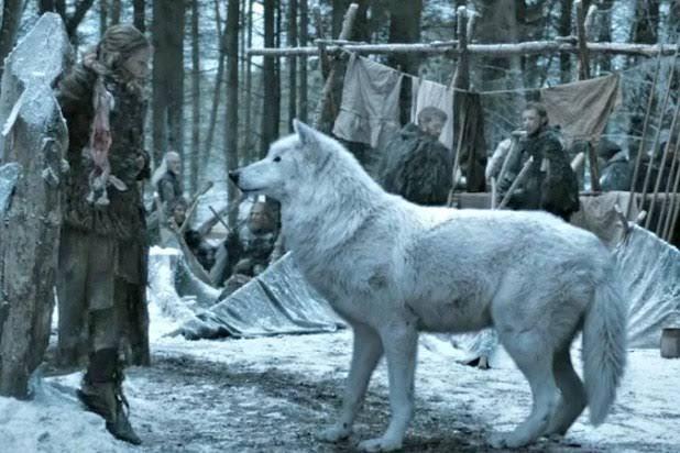 Is direwolfs mythical creature? | /r/FreeFolk