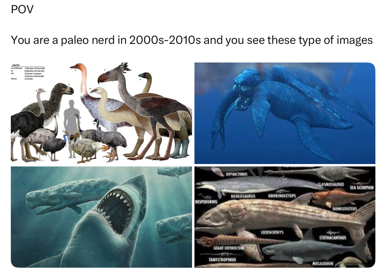 Paleo nerd meme