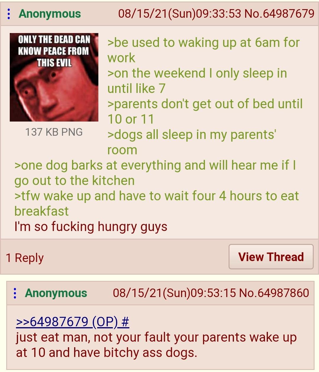 Anonymous ONLY THE DEAD CAN KNOW PEACE FROM THIS EVIL 137 KB PNG 08/15/21(Sun)09:33:53 No.64987679 >be used to waking up at 6am for work >on the weekend I only sleep in until like 7 >parents don't get out of bed until 10 or 11 >dogs all sleep in my parents' room >one dog barks at everything and will hear me if I go out to the kitchen >tfw wake up and have to wait four 4 hours to eat breakfast I'm so f------ hungry guys 1 Reply Anonymous View Thread 08/15/21(Sun)09:53:15 No.64987860 >>64987679 (OP) # just eat man, not your fault your parents wake up at 10 and have bitchy ass dogs.