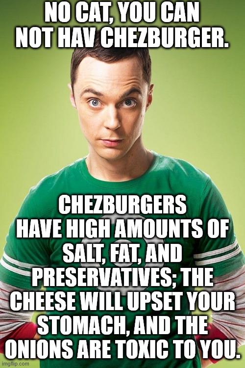 NO CAT, YOU CAN NOT HAV CHEZBURGER. CHEZBURGERS HAVE HIGH AMOUNTS OF SALT, FAT, AND PRESERVATIVES: THE CHEESE WILL UPSET YOUR STOMACH, AND THE ONIONS ARE TOXIC TO YOU. imgflip.com
