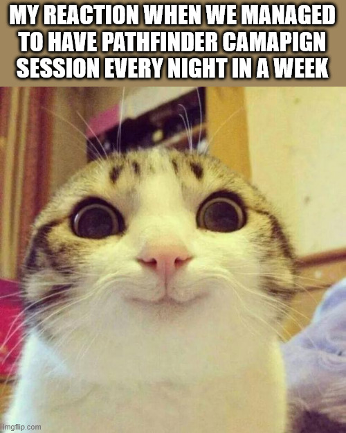 MY REACTION WHEN WE MANAGED TO HAVE PATHFINDER CAMAPIGN SESSION EVERY NIGHT IN A WEEK imgflip.com