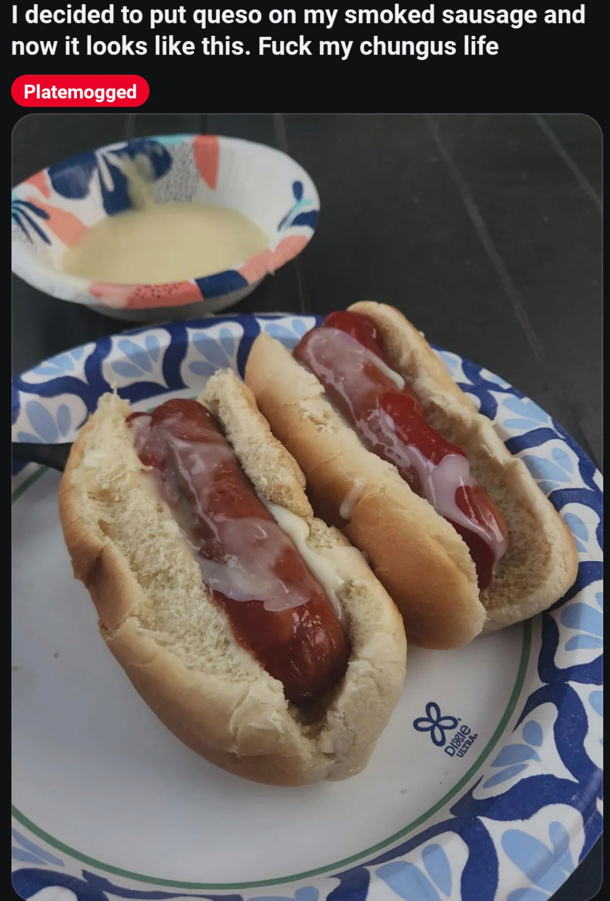 I decided to put queso on my smoked sausage and now it looks like this. F--- my chungus life Platemogged 88 DIXIE ULTRA
