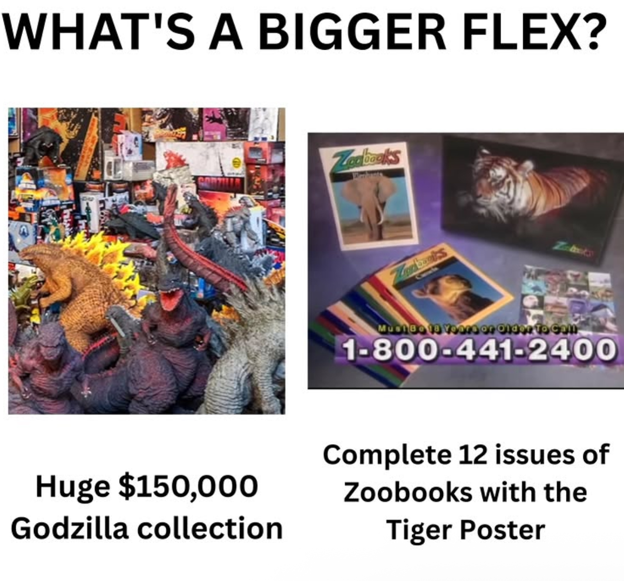 WHAT'S A BIGGER FLEX? Zoobooks Wendants Zdbooks MUDIBO 19 Vooro or older to com 1-800-441-2400 Huge $150,000 Godzilla collection Complete 12 issues of Zoobooks with the Tiger Poster