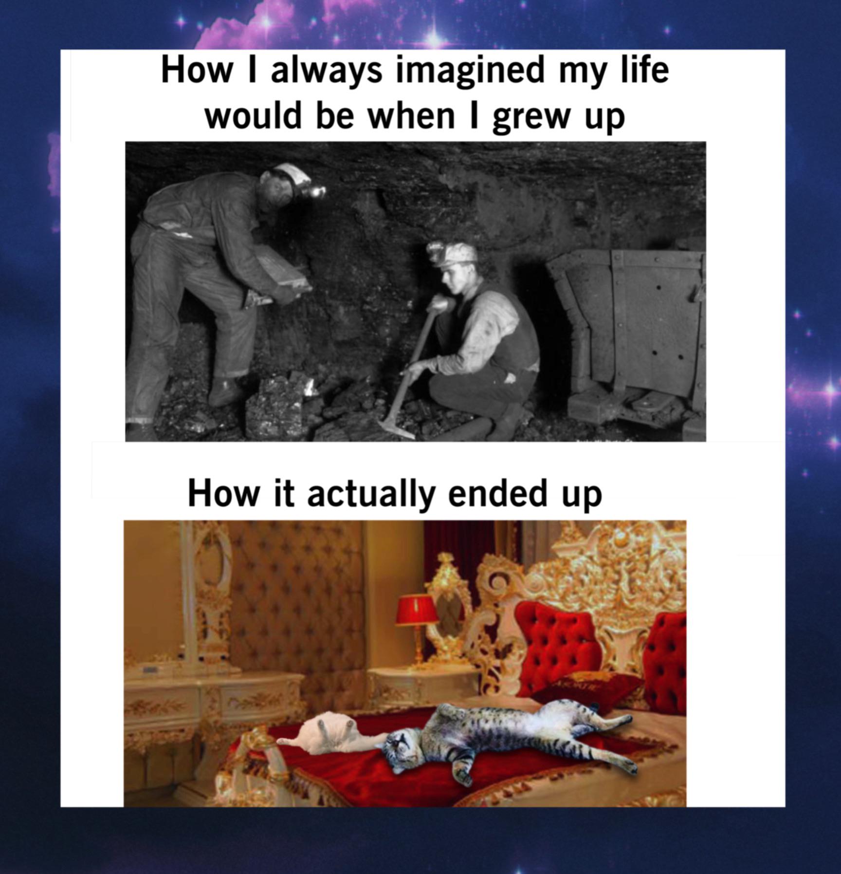 How I always imagined my life would be when I grew up How it actually ended up