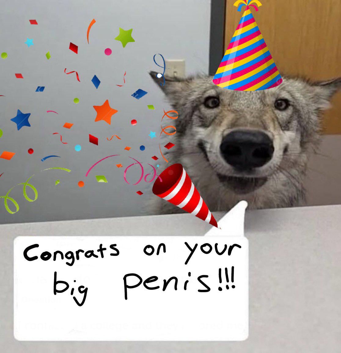 00 Congrats on your big penis!!!