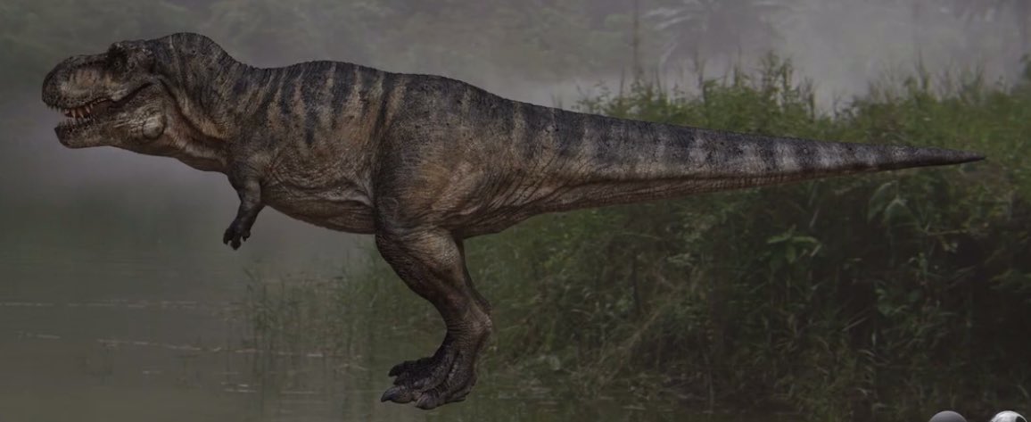 Tyrannosaurus rex
