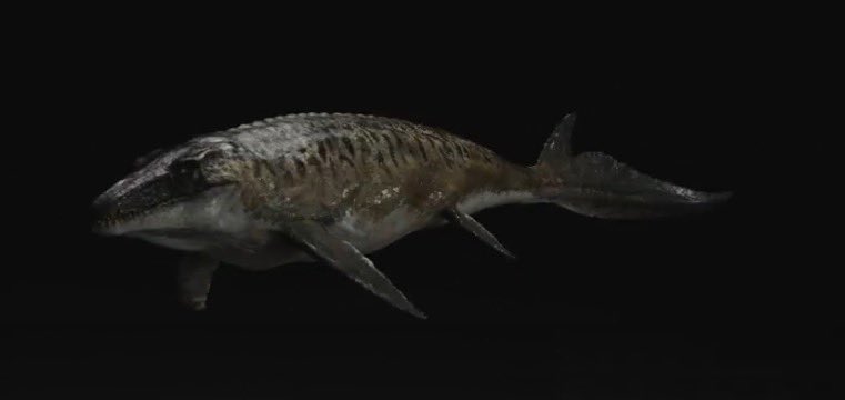 Mosasaurus