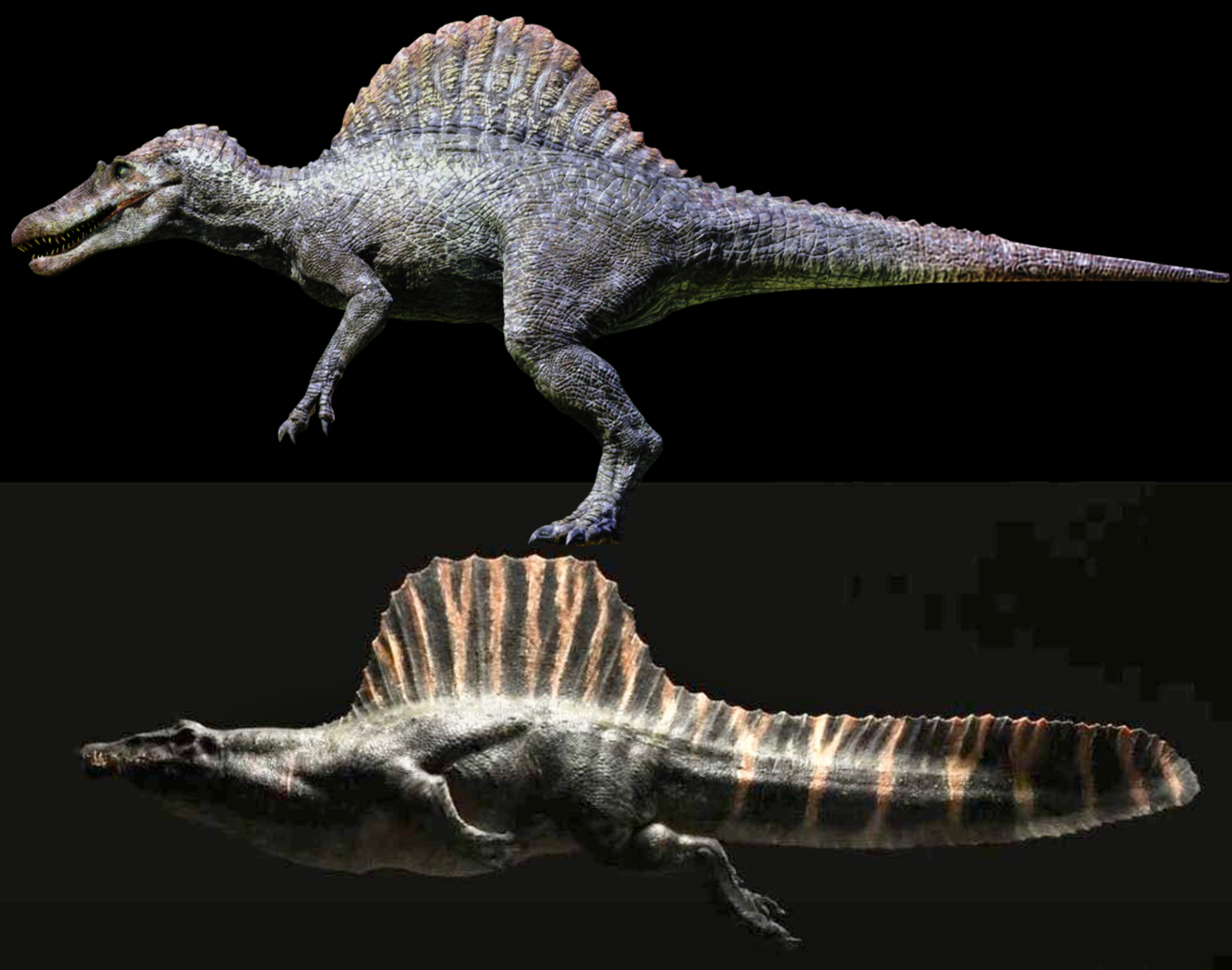 Jurassic world spinosaurus comparison