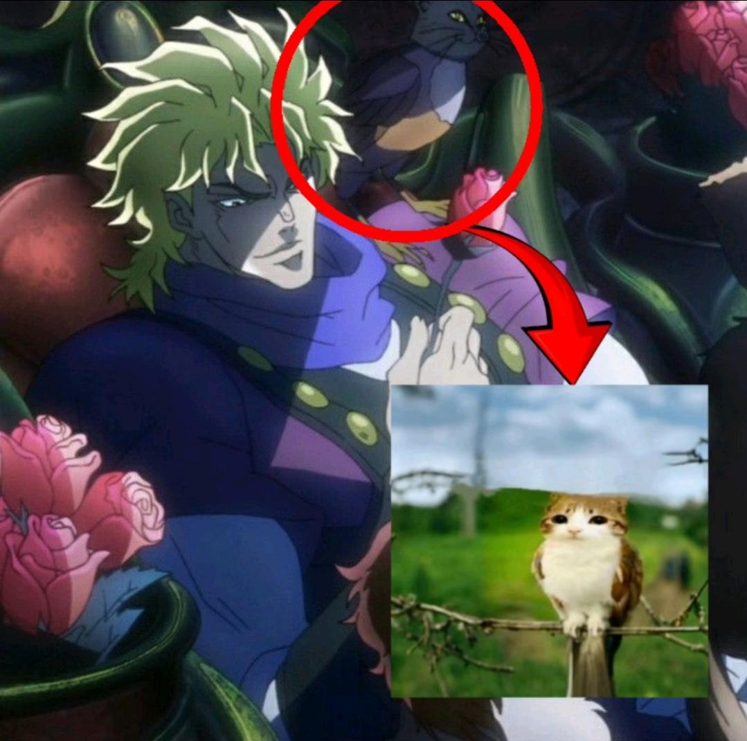 I didn't know Meowl was in peak | /r/ShitPostCrusaders/