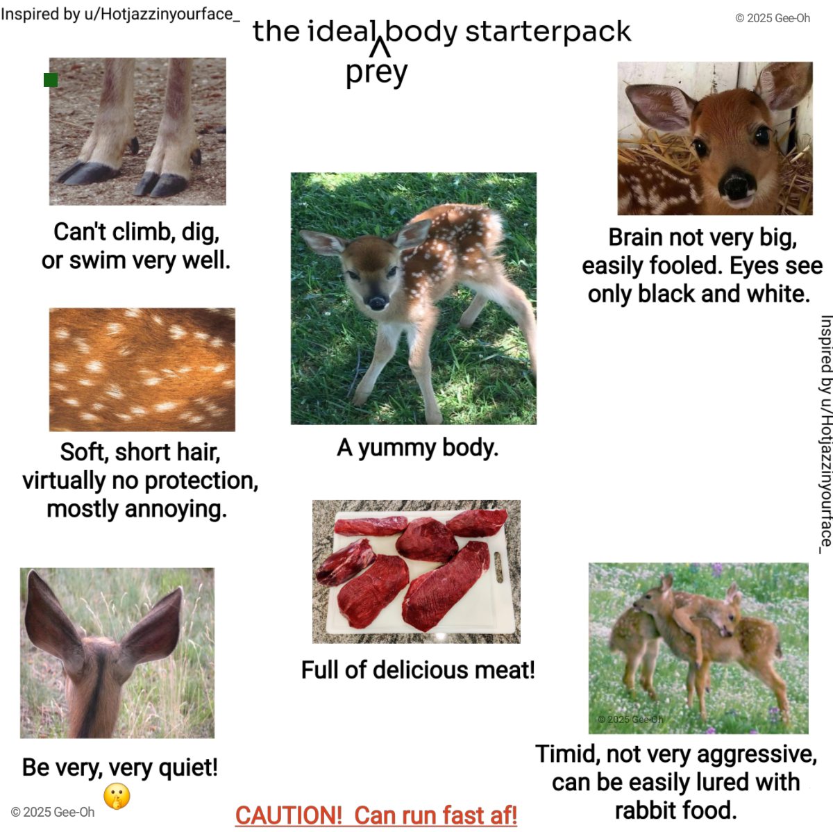 Inspired by u/Hotjazzinyourface_ 2025 Gee-Oh the ideal body starterpack prey Can't climb, dig, or swim very well. Soft, short hair, A yummy body. virtually no protection, mostly annoying. Be very, very quiet! © 2025 Gee-Oh Full of delicious meat! CAUTION! Can run fast af! Brain not very big, easily fooled. Eyes see only black and white. Inspired by u/Hotjazzinyourface_ 2025 Gee-Oh Timid, not very aggressive, can be easily lured with rabbit food.