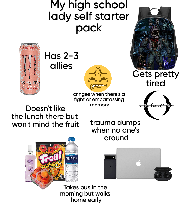 My high school lady self starter pack ZERO SUGAR Has 2-3 allies MONSTER ENERG ERA PEACHY ASS GY me Gets pretty tired Doesn't like cringes when there's a fight or embarrassing memory the lunch there but won't mind the fruit trauma dumps when no one's around a perfect cirele Trom Deachio AQUAFINA Takes bus in the morning but walks home early