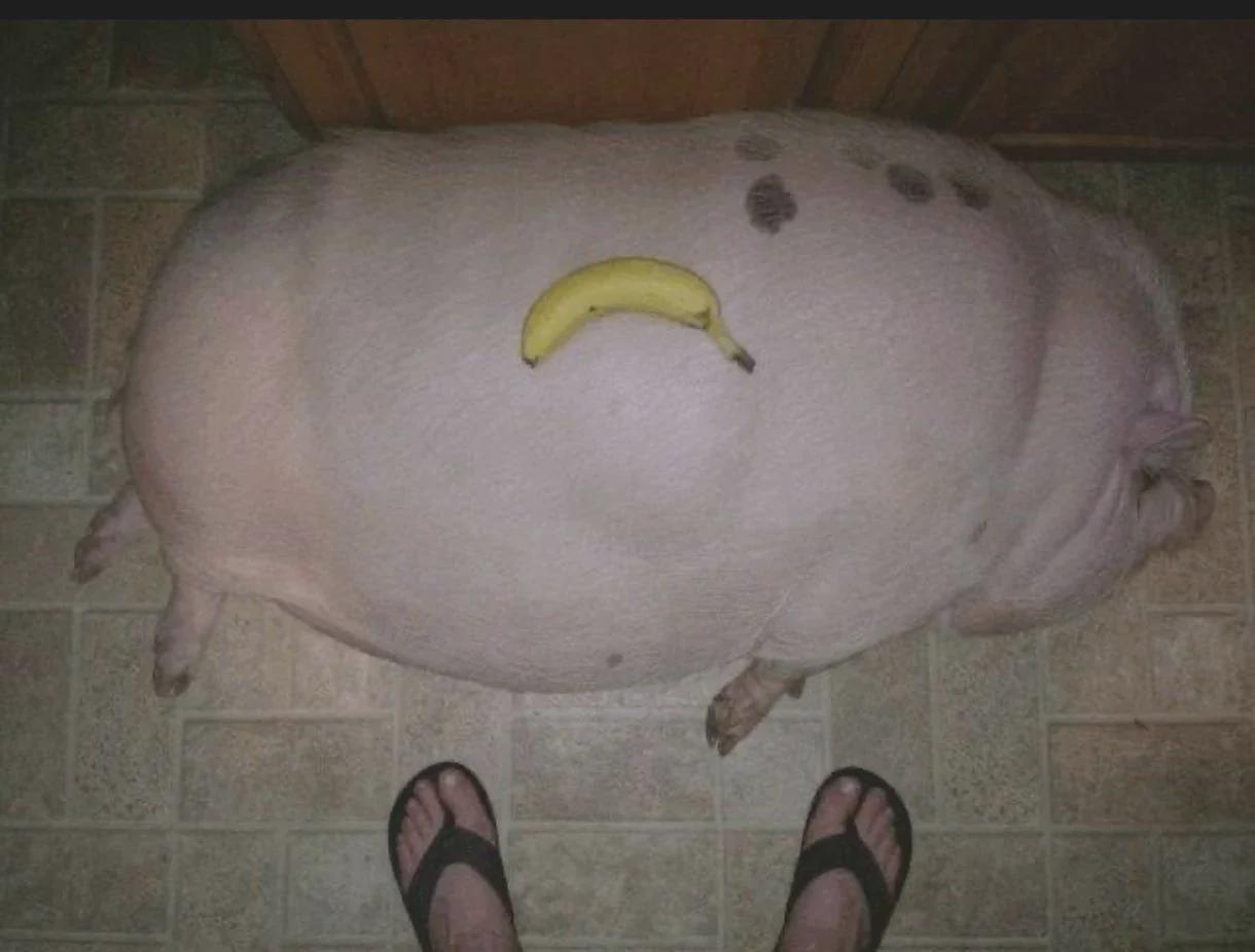 I bought this bana today | /r/okbuddyretard
