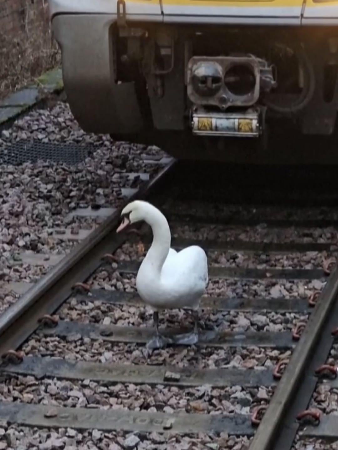 Train was delayed for half an hour