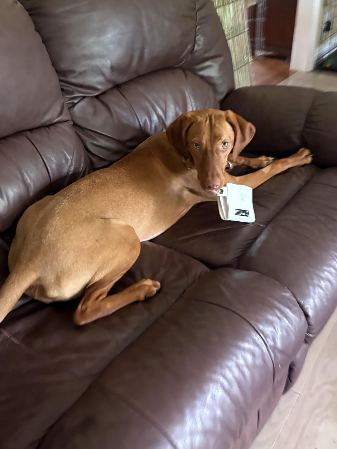 A stolen wallet