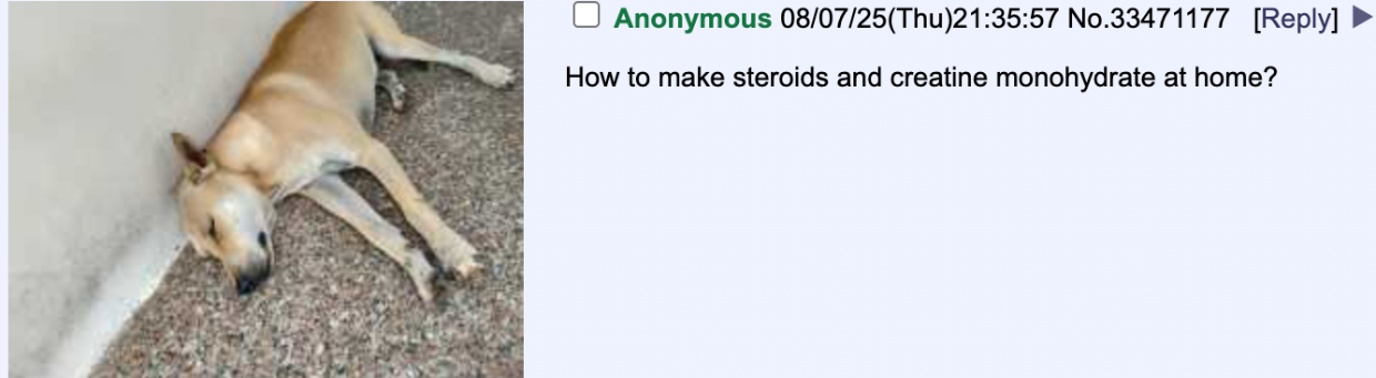 Anonymous 08/07/25(Thu)21:35:57 No.33471177 [Reply] How to make steroids and creatine monohydrate at home?