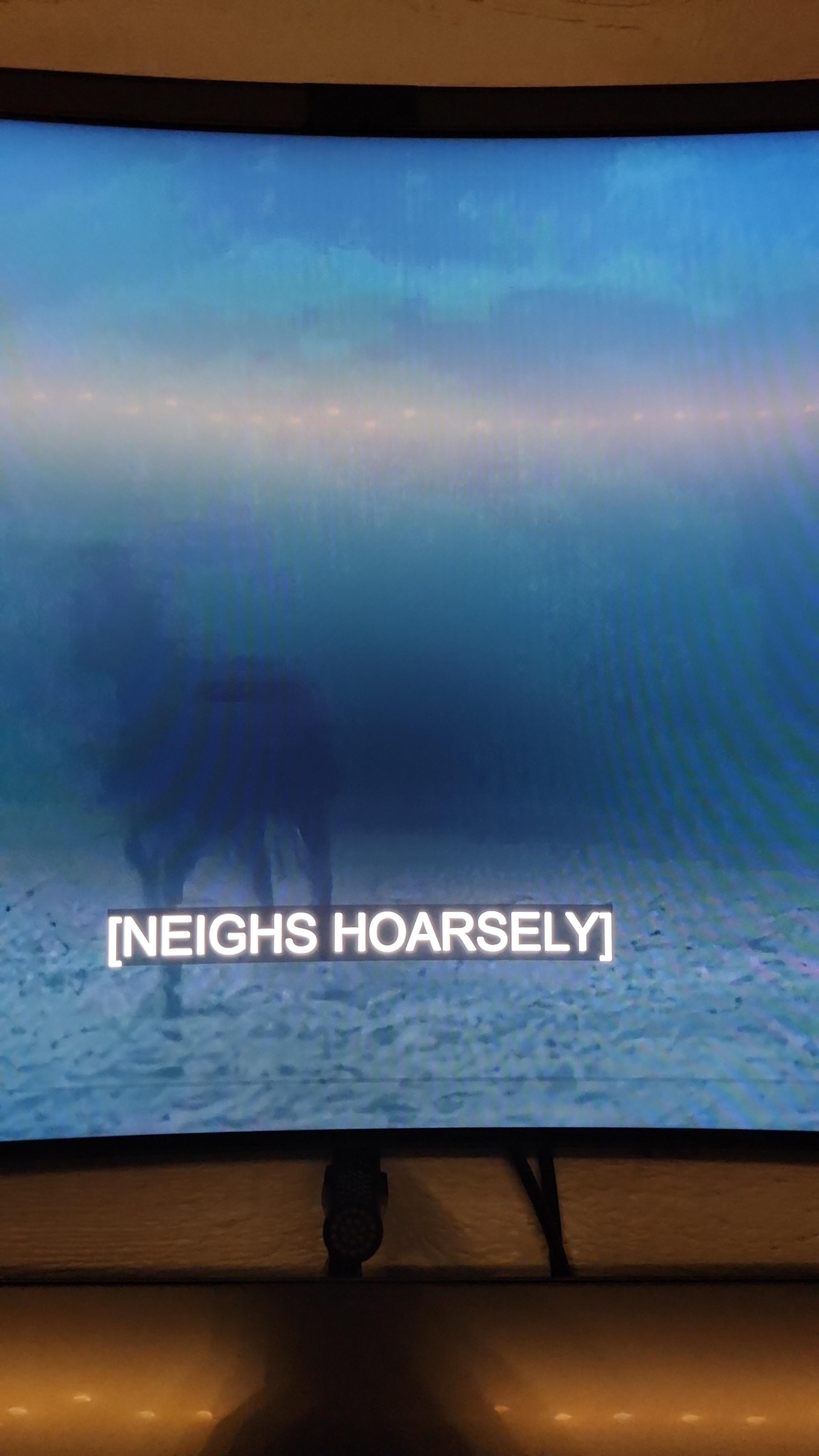 [NEIGHS HOARSELY]