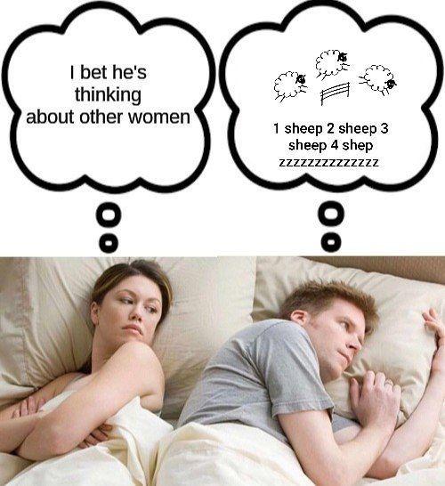 I bet he's thinking about other women 1 sheep 2 sheep 3 sheep 4 shep ZZZZZZZZZZZZZZ 00