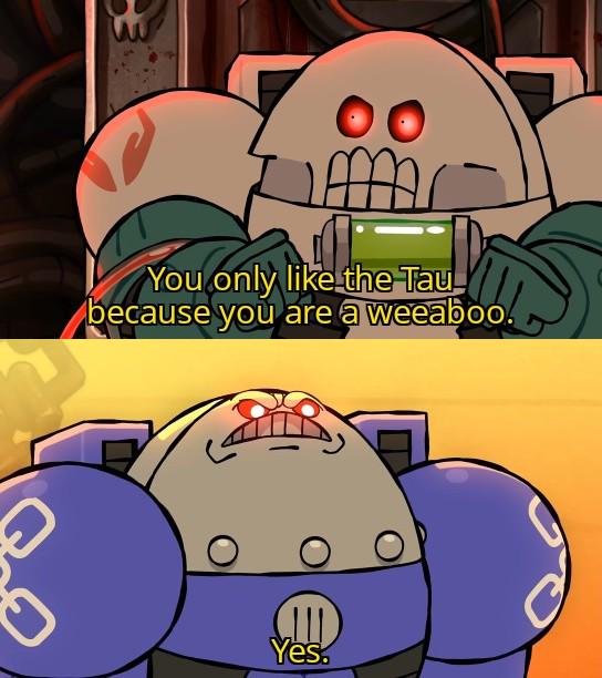 00 You only like the Tau because you are a weeaboo. Yes.