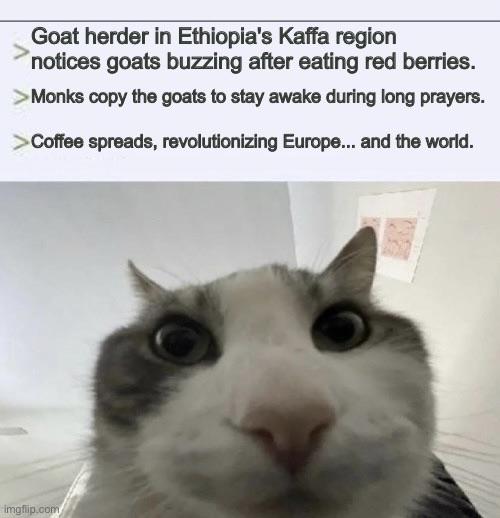 Goat herder in Ethiopia's Kaffa region notices goats buzzing after eating red berries. Monks copy the goats to stay awake during long prayers. > Coffee spreads, revolutionizing Europe... and the world. imgflip.com