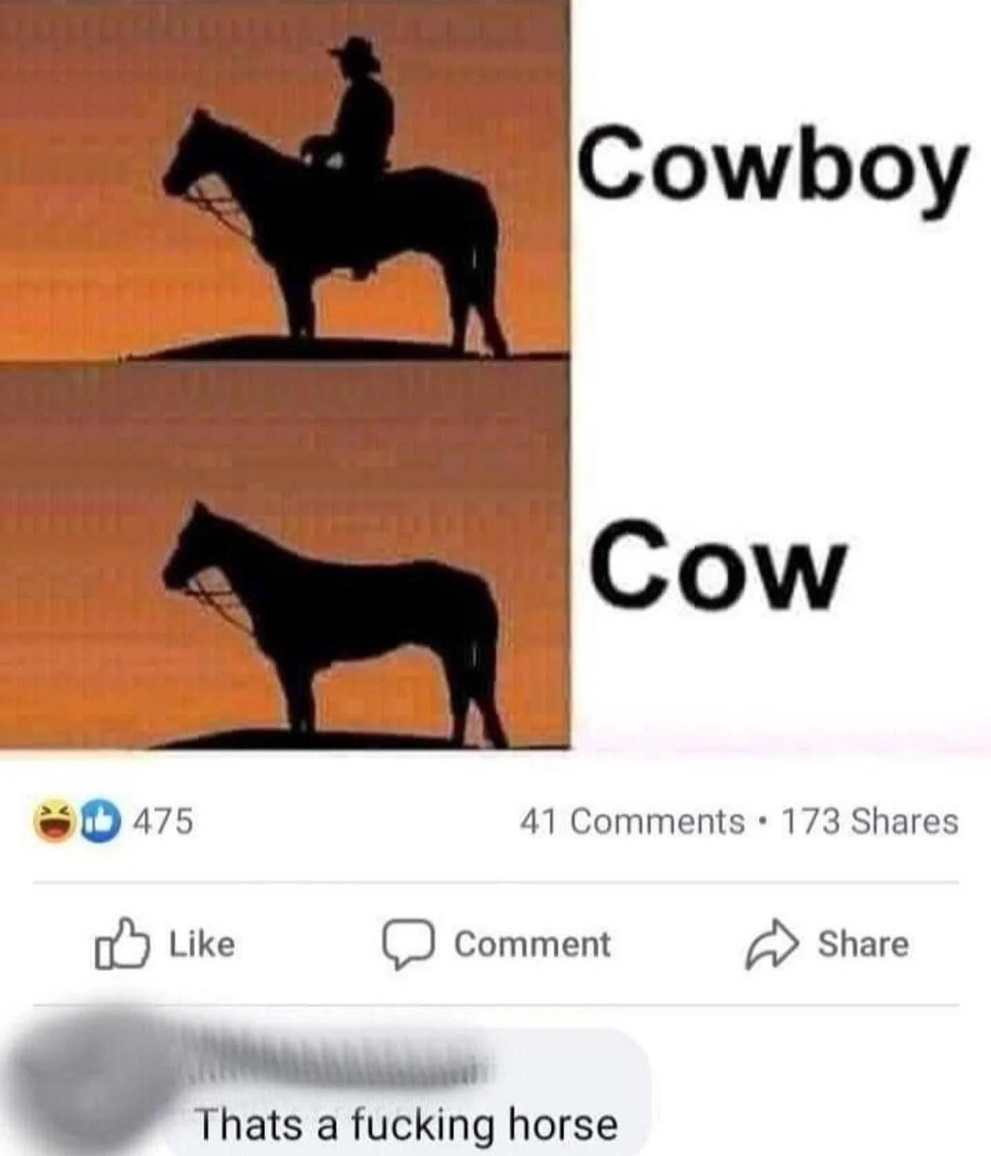 475 Cowboy Cow 41 Comments 173 Shares Like Comment D Share Thats a f------ horse