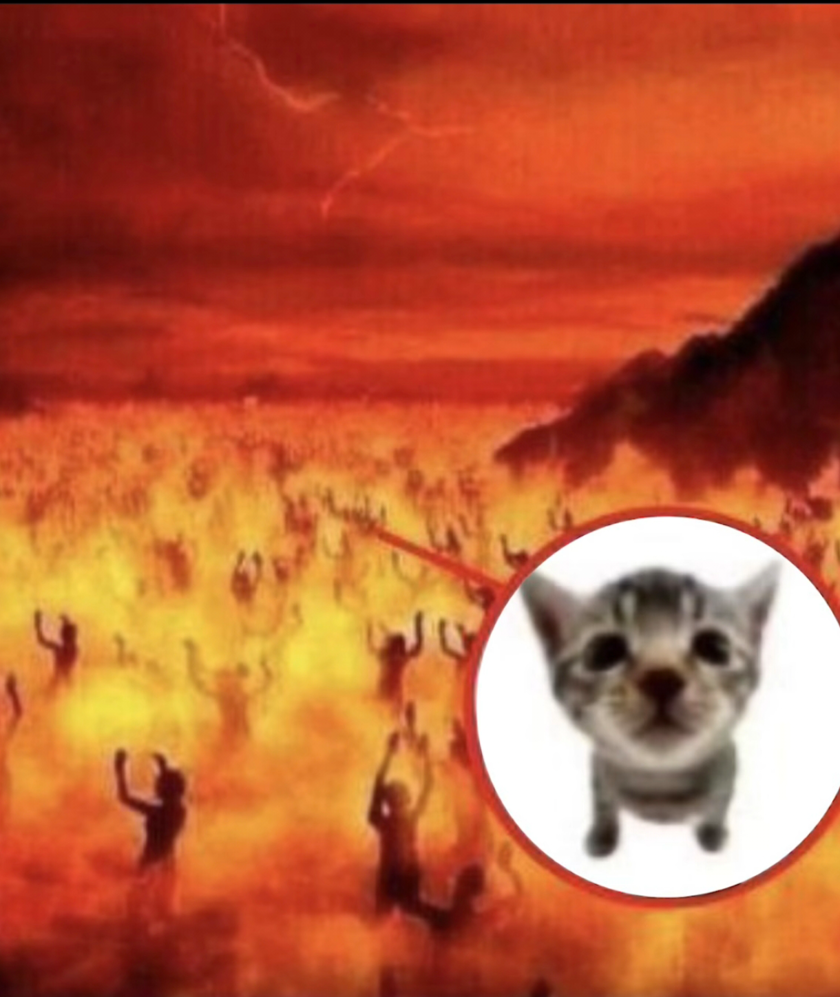 “bro used up all 9 lives already ” | /r/okbuddyretard