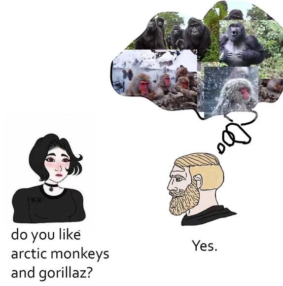 do you like arctic monkeys and gorillaz? Yes.