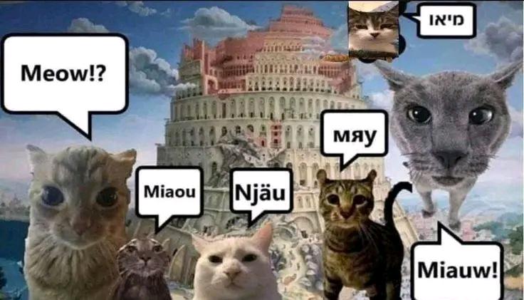 Meow!? Miaou Njäu мяу מיאו 108 Miauw!