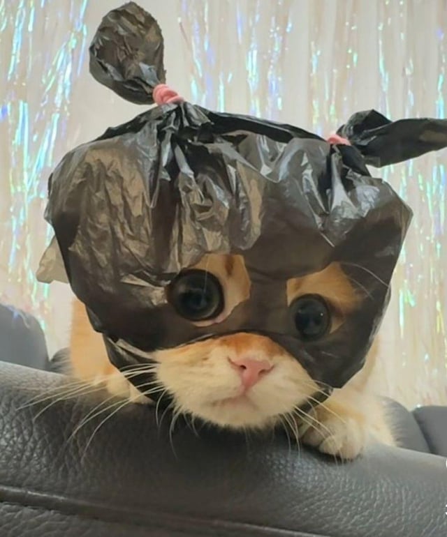 Mask on