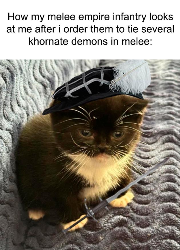 How my melee empire infantry looks at me after i order them to tie several khornate demons in melee: