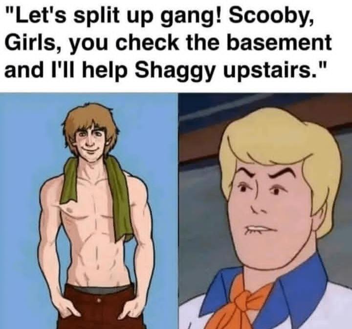 "Let's split up gang! Scooby, Girls, you check the basement and I'll help Shaggy upstairs."