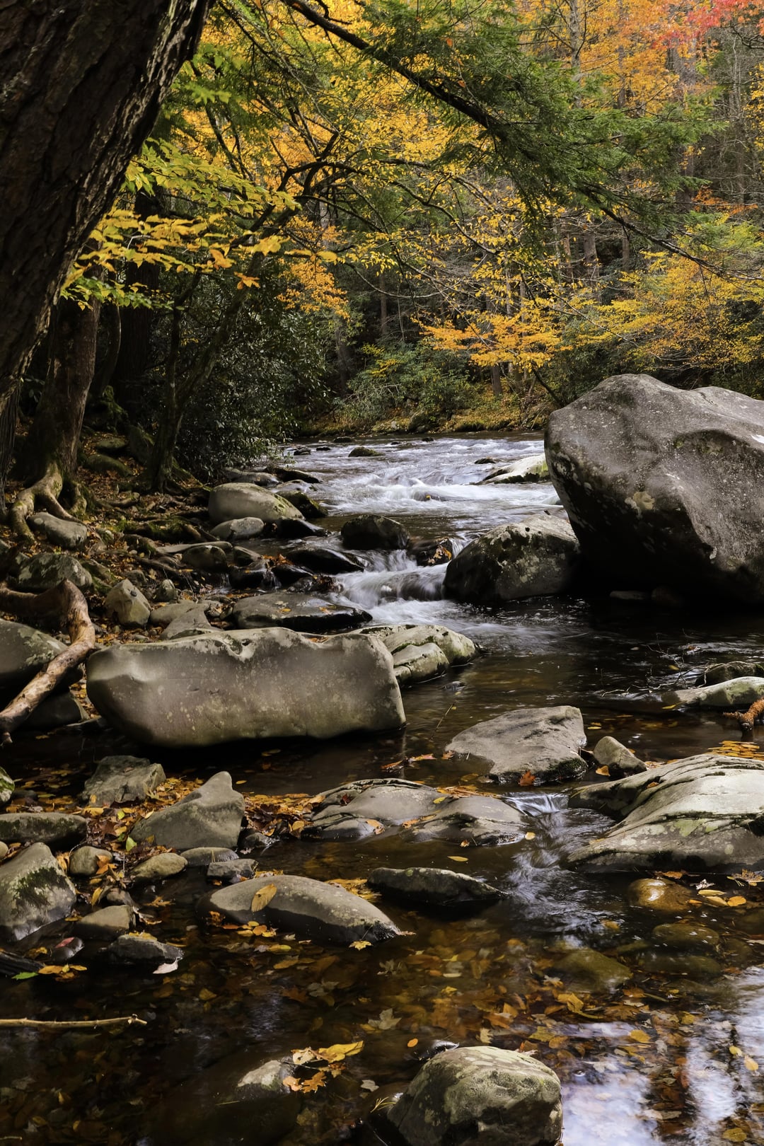 Great Smoky Mountains National Park