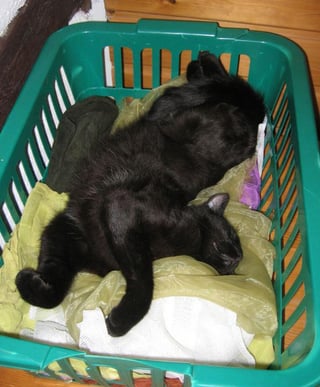 Laundry helper